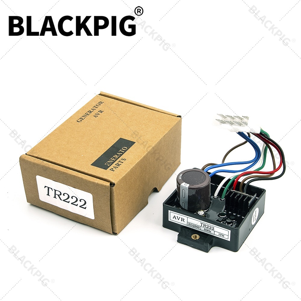 Cycloidal Reducer Bldc Motor - Régulateur de tension automatique TR222 EG2500